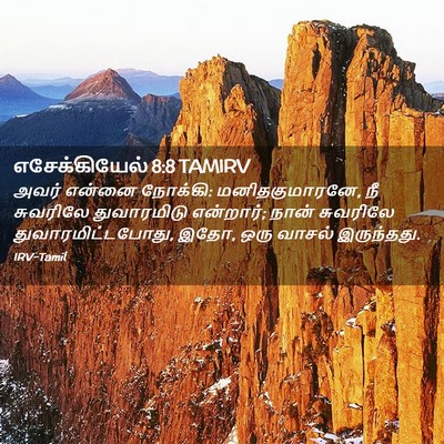 Picture 02 - எசேக்கியேல் 8:8 TAMIRV - அவர் என்னை நோக்கி: - Bible Verse Picture