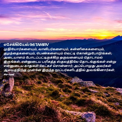 Picture 02 - எசேக்கியேல் 9:6 TAMIRV - முதியோர்களையும், - Bible Verse Picture