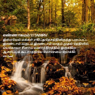Picture 02 - எண்ணாகமம் 1:1 TAMIRV - இஸ்ரவேல் மக்கள் - Bible Verse Picture