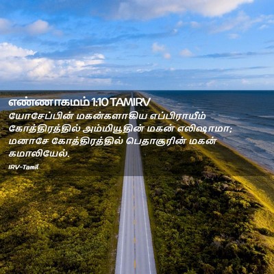 Picture 02 - எண்ணாகமம் 1:10 TAMIRV - யோசேப்பின் - Bible Verse Picture