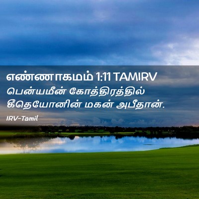 Picture 02 - எண்ணாகமம் 1:11 TAMIRV - பென்யமீன் - Bible Verse Picture
