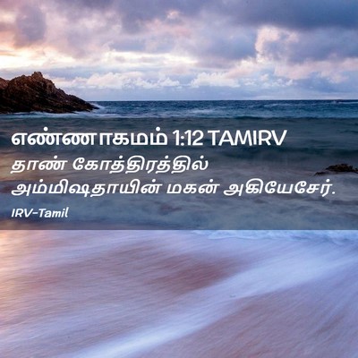 Picture 02 - எண்ணாகமம் 1:12 TAMIRV - தாண் - Bible Verse Picture