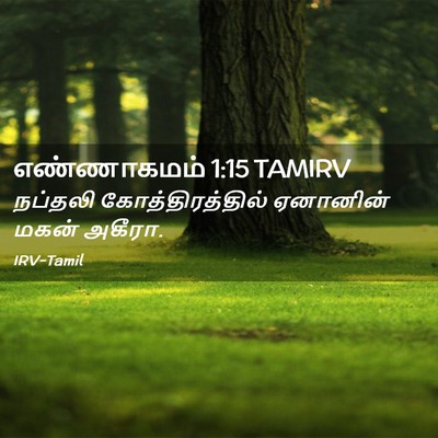 Picture 02 - எண்ணாகமம் 1:15 TAMIRV - நப்தலி - Bible Verse Picture