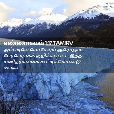 Picture 02 - எண்ணாகமம் 1:17 TAMIRV - அப்படியே மோசேயும் - Bible Verse Picture
