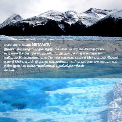 Picture 02 - எண்ணாகமம் 1:18 TAMIRV - இரண்டாம் மாதம் - Bible Verse Picture