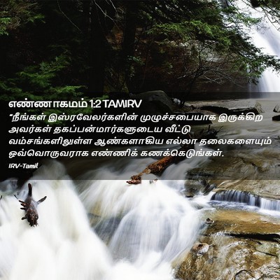 Picture 02 - எண்ணாகமம் 1:2 TAMIRV - “நீங்கள் - Bible Verse Picture