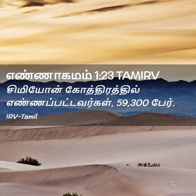 Picture 02 - எண்ணாகமம் 1:23 TAMIRV - சிமியோன் - Bible Verse Picture