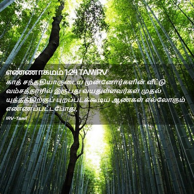 Picture 02 - எண்ணாகமம் 1:24 TAMIRV - காத் - Bible Verse Picture