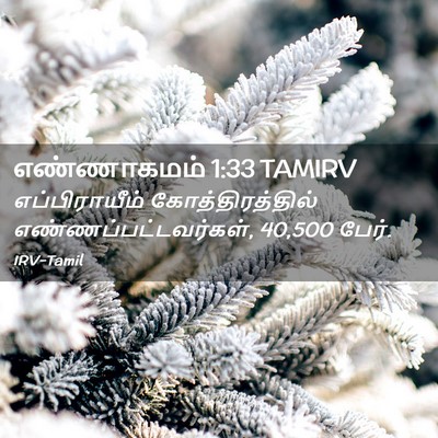 Picture 02 - எண்ணாகமம் 1:33 TAMIRV - எப்பிராயீம் - Bible Verse Picture