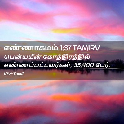 Picture 02 - எண்ணாகமம் 1:37 TAMIRV - பென்யமீன் - Bible Verse Picture