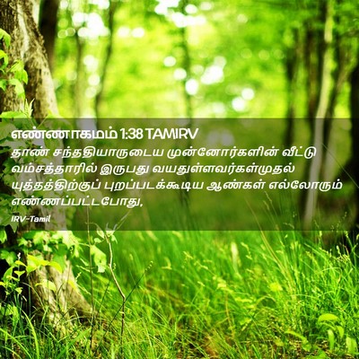 Picture 02 - எண்ணாகமம் 1:38 TAMIRV - தாண் - Bible Verse Picture