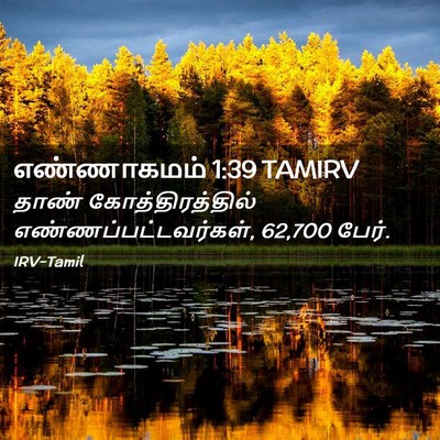 Picture 02 - எண்ணாகமம் 1:39 TAMIRV - தாண் - Bible Verse Picture