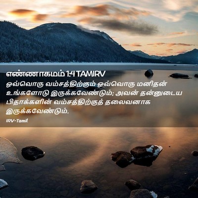 Picture 02 - எண்ணாகமம் 1:4 TAMIRV - ஒவ்வொரு - Bible Verse Picture