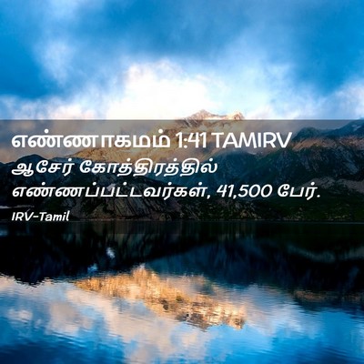 Picture 02 - எண்ணாகமம் 1:41 TAMIRV - ஆசேர் - Bible Verse Picture