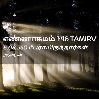 Picture 02 - எண்ணாகமம் 1:46 TAMIRV - 6,03,550 - Bible Verse Picture