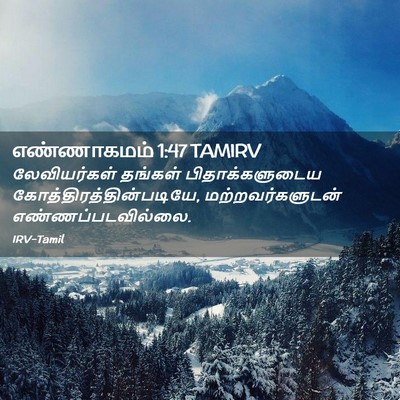 Picture 02 - எண்ணாகமம் 1:47 TAMIRV - லேவியர்கள் தங்கள் - Bible Verse Picture