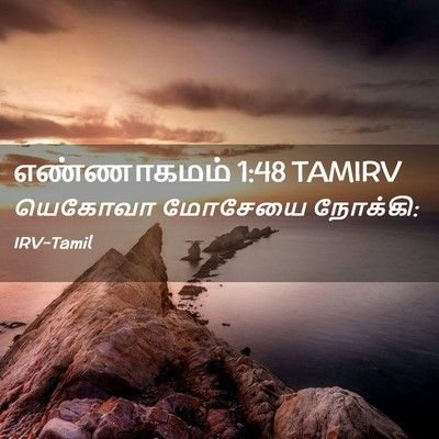 Picture 02 - எண்ணாகமம் 1:48 TAMIRV - யெகோவா மோசேயை - Bible Verse Picture
