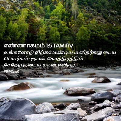 Picture 02 - எண்ணாகமம் 1:5 TAMIRV - உங்களோடு - Bible Verse Picture