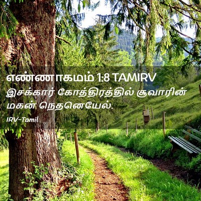 Picture 02 - எண்ணாகமம் 1:8 TAMIRV - இசக்கார் - Bible Verse Picture