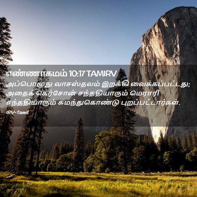 Picture 02 - எண்ணாகமம் 10:17 TAMIRV - அப்பொழுது - Bible Verse Picture