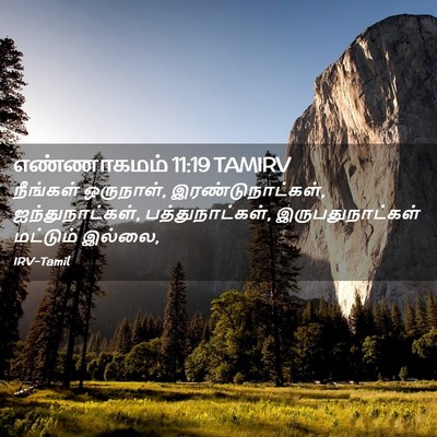Picture 02 - எண்ணாகமம் 11:19 TAMIRV - நீங்கள் ஒருநாள், - Bible Verse Picture