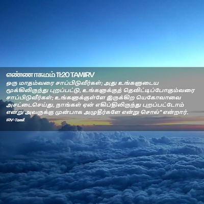 Picture 02 - எண்ணாகமம் 11:20 TAMIRV - ஒரு மாதம்வரை - Bible Verse Picture