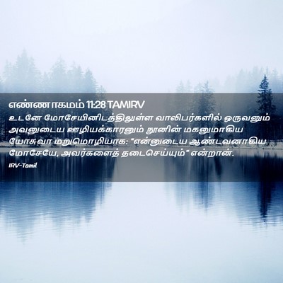 Picture 02 - எண்ணாகமம் 11:28 TAMIRV - உடனே - Bible Verse Picture