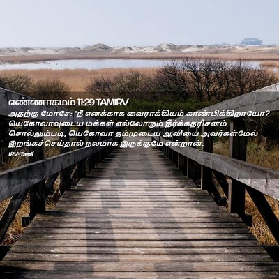Picture 02 - எண்ணாகமம் 11:29 TAMIRV - அதற்கு மோசே: “நீ - Bible Verse Picture