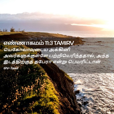 Picture 02 - எண்ணாகமம் 11:3 TAMIRV - யெகோவாவுடைய - Bible Verse Picture
