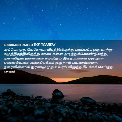 Picture 02 - எண்ணாகமம் 11:31 TAMIRV - அப்பொழுது - Bible Verse Picture