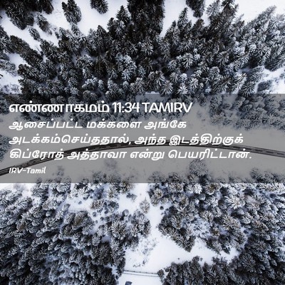 Picture 02 - எண்ணாகமம் 11:34 TAMIRV - ஆசைப்பட்ட மக்களை - Bible Verse Picture