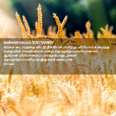 Picture 02 - எண்ணாகமம் 12:10 TAMIRV - மேகம் கூடாரத்தை - Bible Verse Picture