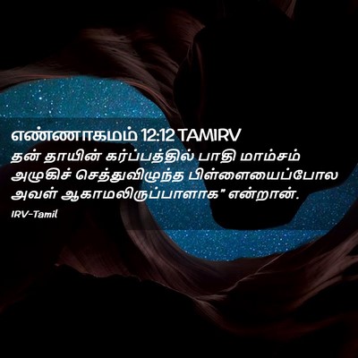 Picture 02 - எண்ணாகமம் 12:12 TAMIRV - தன் தாயின் - Bible Verse Picture