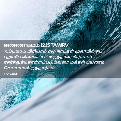 Picture 02 - எண்ணாகமம் 12:15 TAMIRV - அப்படியே மிரியாம் - Bible Verse Picture