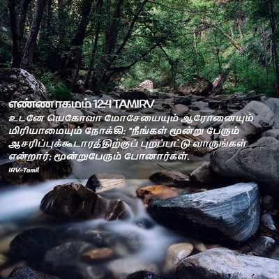 Picture 02 - எண்ணாகமம் 12:4 TAMIRV - உடனே யெகோவா - Bible Verse Picture