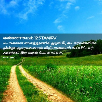 Picture 02 - எண்ணாகமம் 12:5 TAMIRV - யெகோவா - Bible Verse Picture