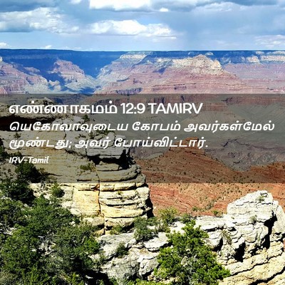 Picture 02 - எண்ணாகமம் 12:9 TAMIRV - யெகோவாவுடைய கோபம் - Bible Verse Picture