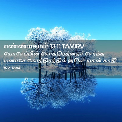Picture 02 - எண்ணாகமம் 13:11 TAMIRV - யோசேப்பின் - Bible Verse Picture