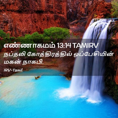 Picture 02 - எண்ணாகமம் 13:14 TAMIRV - நப்தலி - Bible Verse Picture