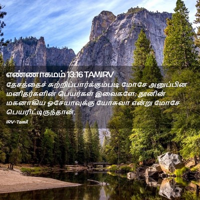 Picture 02 - எண்ணாகமம் 13:16 TAMIRV - தேசத்தைச் - Bible Verse Picture