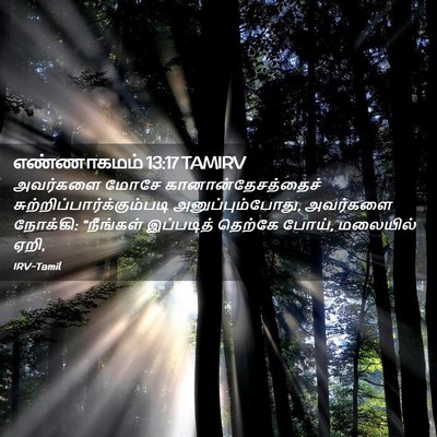 Picture 02 - எண்ணாகமம் 13:17 TAMIRV - அவர்களை மோசே - Bible Verse Picture