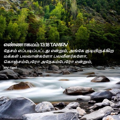 Picture 02 - எண்ணாகமம் 13:18 TAMIRV - தேசம் - Bible Verse Picture
