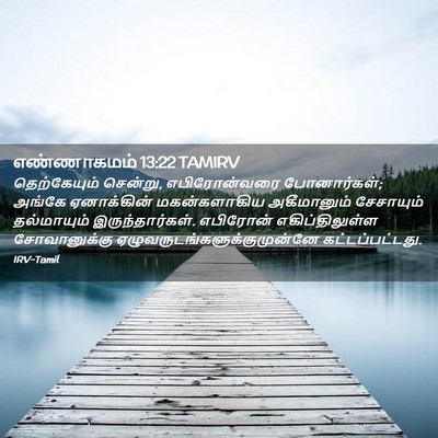 Picture 02 - எண்ணாகமம் 13:22 TAMIRV - தெற்கேயும் - Bible Verse Picture