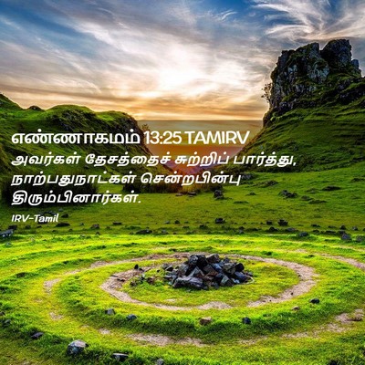 Picture 02 - எண்ணாகமம் 13:25 TAMIRV - அவர்கள் தேசத்தைச் - Bible Verse Picture