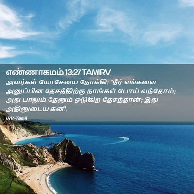 Picture 02 - எண்ணாகமம் 13:27 TAMIRV - அவர்கள் மோசேயை - Bible Verse Picture