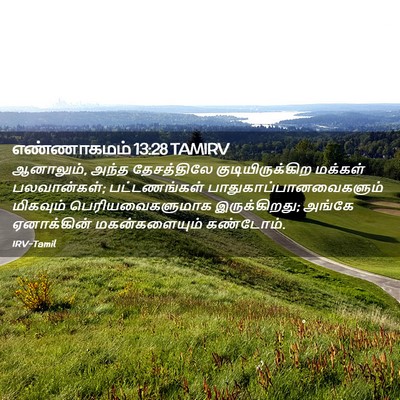 Picture 02 - எண்ணாகமம் 13:28 TAMIRV - ஆனாலும், அந்த - Bible Verse Picture