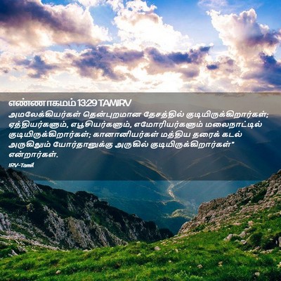 Picture 02 - எண்ணாகமம் 13:29 TAMIRV - அமலேக்கியர்கள் - Bible Verse Picture