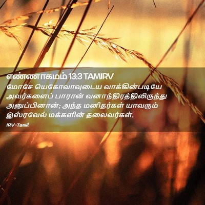 Picture 02 - எண்ணாகமம் 13:3 TAMIRV - மோசே யெகோவாவுடைய - Bible Verse Picture