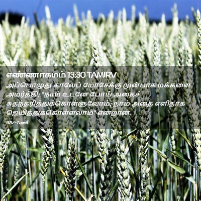 Picture 02 - எண்ணாகமம் 13:30 TAMIRV - அப்பொழுது காலேப் - Bible Verse Picture