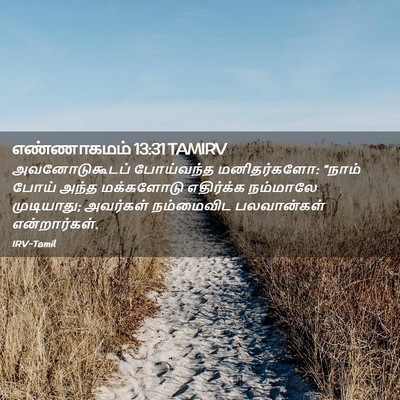 Picture 02 - எண்ணாகமம் 13:31 TAMIRV - அவனோடுகூடப் - Bible Verse Picture